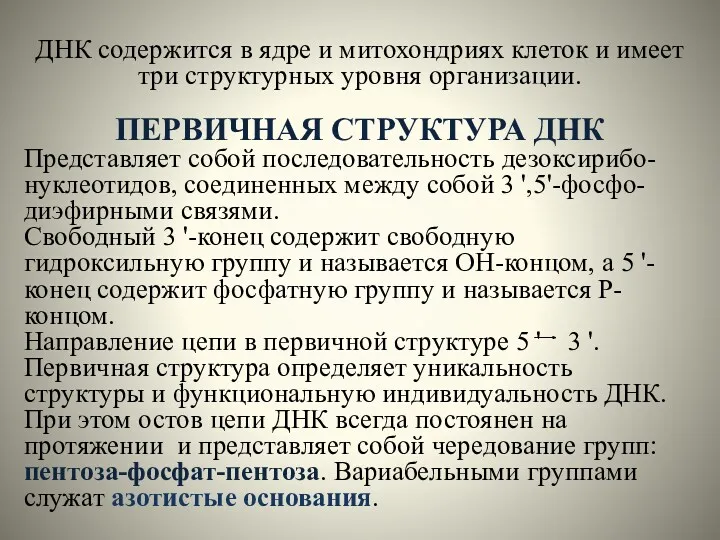 ДНК содержится в ядре и митохондриях клеток и имеет три