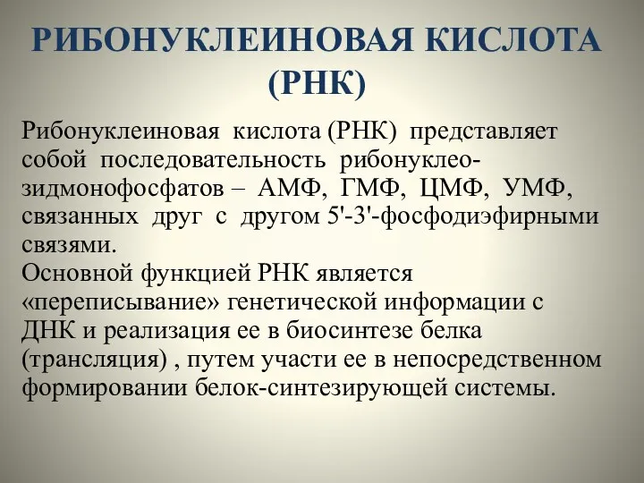 РИБОНУКЛЕИНОВАЯ КИСЛОТА (РНК) Рибонуклеиновая кислота (РНК) представляет собой последовательность рибонуклео-зидмонофосфатов