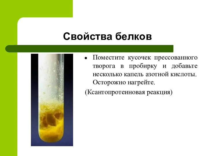 Свойства белков Поместите кусочек прессованного творога в пробирку и добавьте