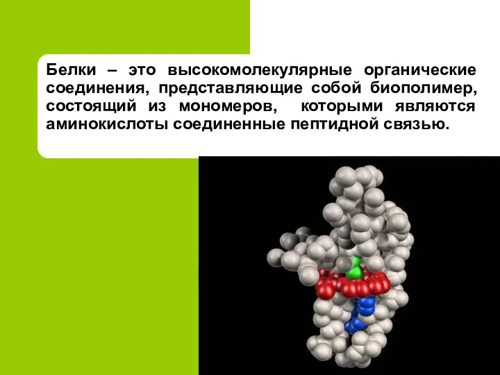 Белки – это высокомолекулярные органические соединения, представляющие собой биополимер, состоящий