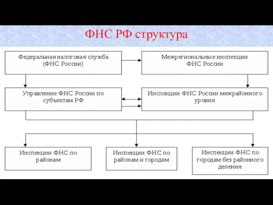 ФНС РФ структура