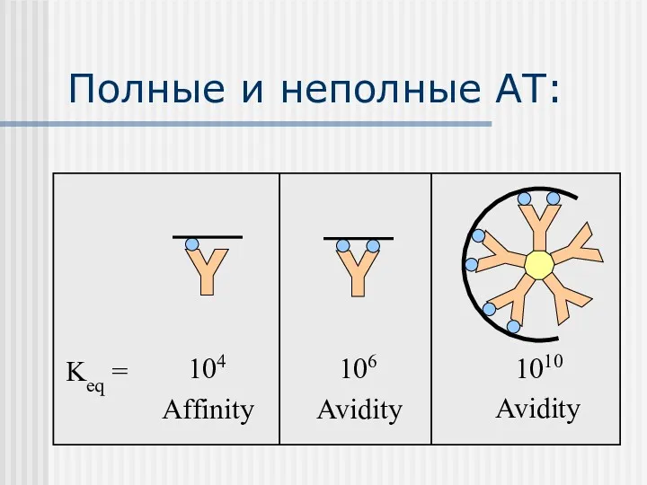 Полные и неполные АТ: