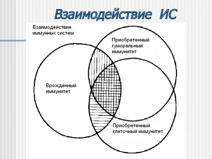 Взаимодействие ИС