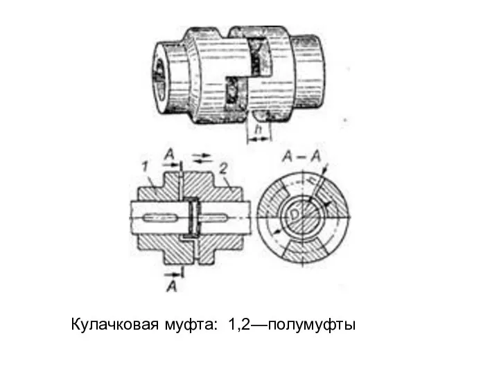 Кулачковая муфта: 1,2—полумуфты