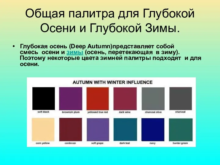 Общая палитра для Глубокой Осени и Глубокой Зимы. Глубокая осень