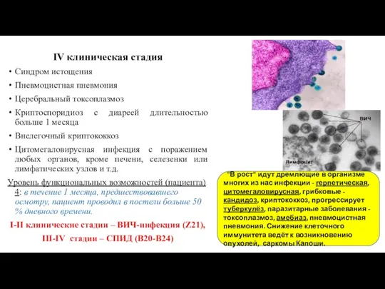 IV клиническая стадия Синдром истощения Пневмоцистная пневмония Церебральный токсоплазмоз Криптоспоридиоз с диареей длительностью