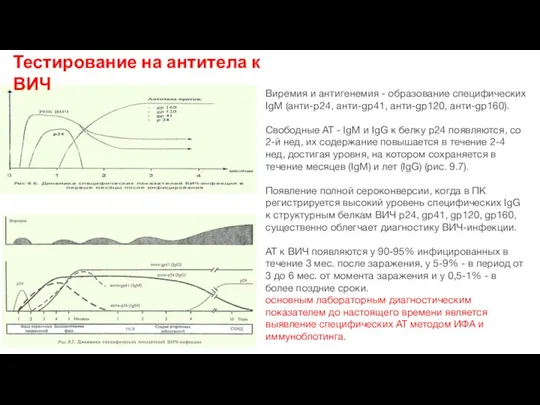 Виремия и антигенемия - образование специфических IgM (анти-р24, анти-gр41, анти-gр120, анти-gр160). Свободные АТ