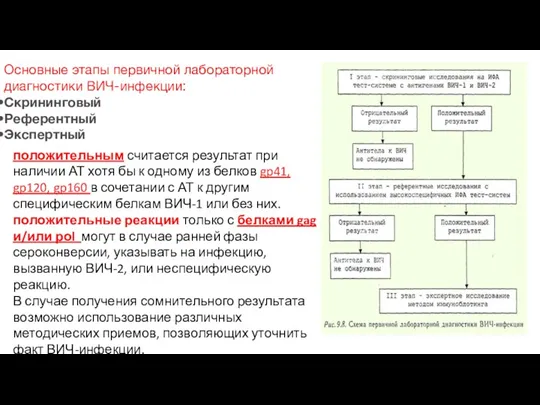 Основные этапы первичной лабораторной диагностики ВИЧ-инфекции: Скрининговый Референтный Экспертный положительным