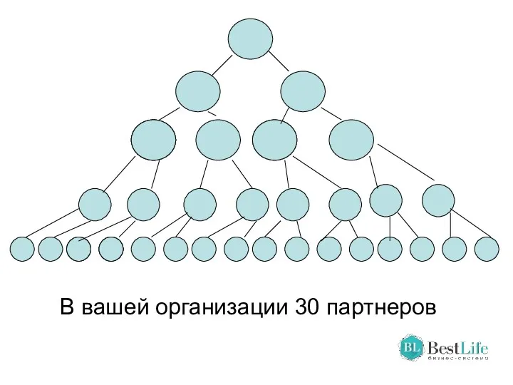 В вашей организации 30 партнеров