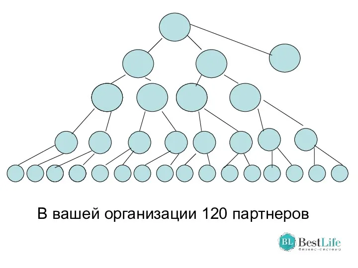 В вашей организации 120 партнеров