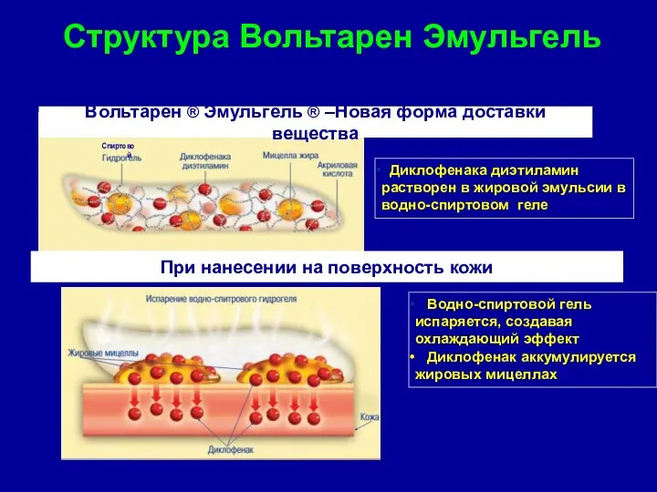 Спиртовой Вольтарен ® Эмульгель ® –Новая форма доставки вещества Структура