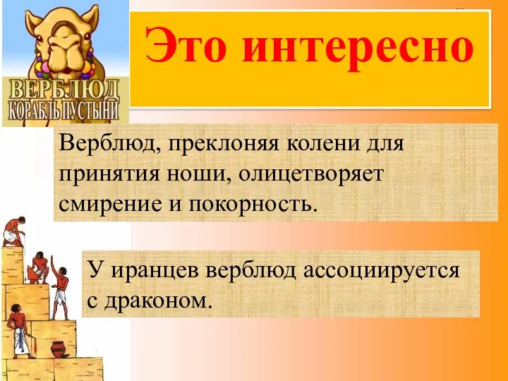 Это интересно Верблюд, преклоняя колени для принятия ноши, олицетворяет смирение