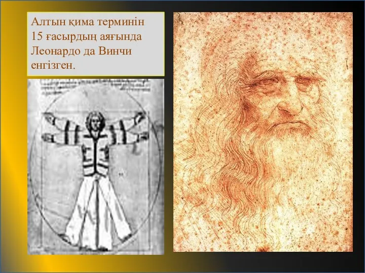 Алтын қима терминін 15 ғасырдың аяғында Леонардо да Винчи енгізген.