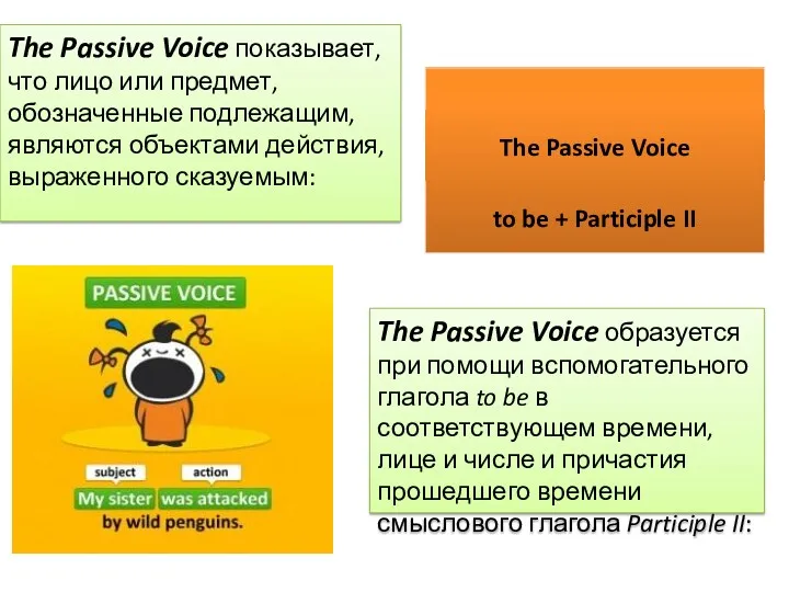 The Passive Voice показывает, что лицо или предмет, обозначенные подлежащим, являются объектами действия,