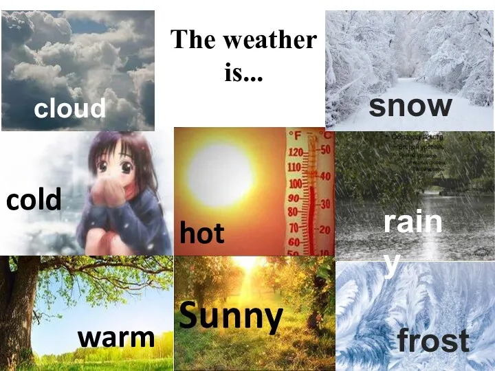 The weather is... cold hot Sunny warm snowy frosty cloudy rainy