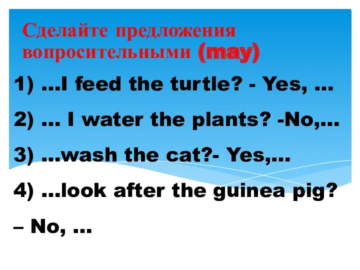 1) …I feed the turtle? - Yes, … 2) …