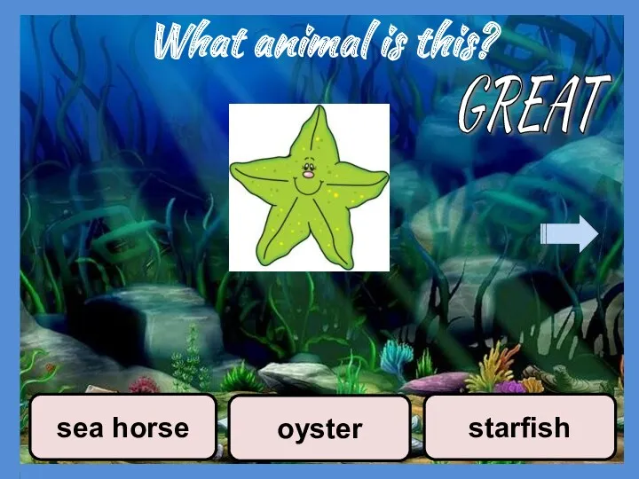 What animal is this? oyster starfish sea horse GREAT