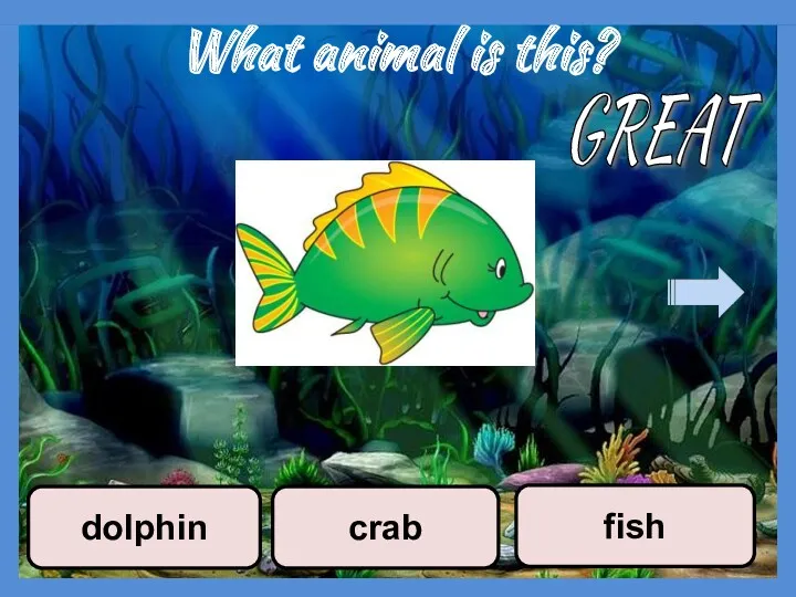What animal is this? crab fish dolphin GREAT