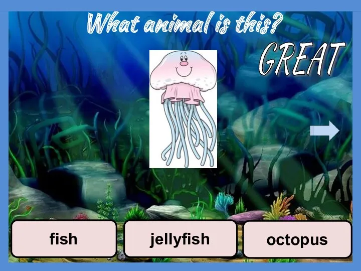 What animal is this? octopus jellyfish fish GREAT