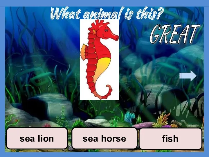 What animal is this? fish sea horse sea lion GREAT