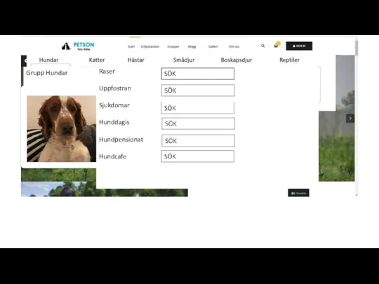 Raser Uppfostran Sjukdomar Hunddagis Hundpensionat Hundcafe SÖK Grupp Hundar