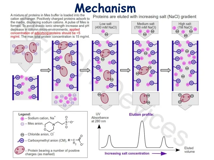 Mechanism