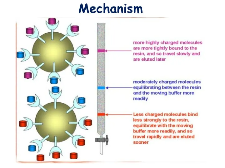 Mechanism