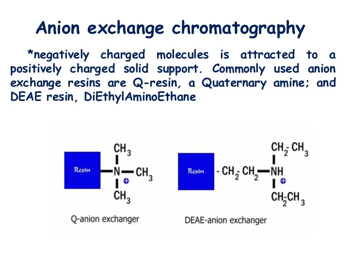 Anion exchange chromatography *negatively charged molecules is attracted to a