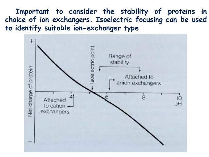 Important to consider the stability of proteins in choice of