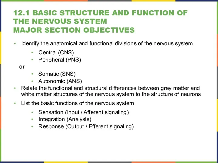 12.1 BASIC STRUCTURE AND FUNCTION OF THE NERVOUS SYSTEM MAJOR