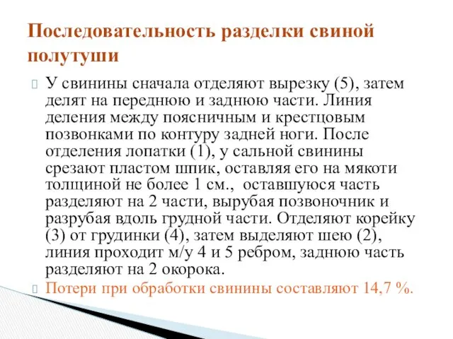 У свинины сначала отделяют вырезку (5), затем делят на переднюю