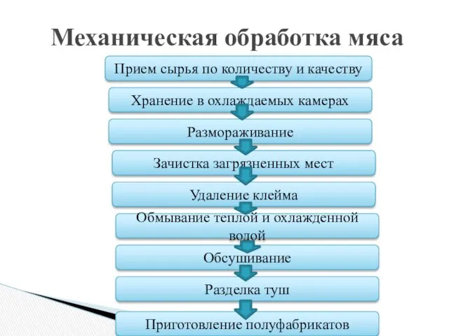 Механическая обработка мяса Прием сырья по количеству и качеству Хранение