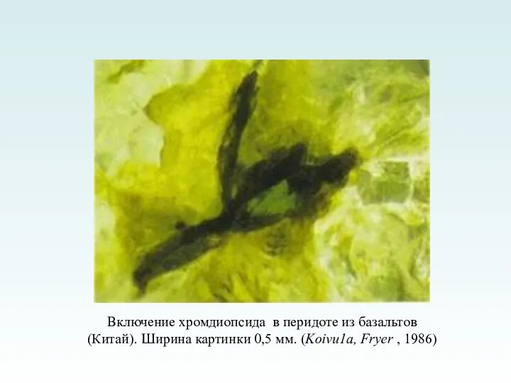 Включение хромдиопсида в перидоте из базальтов (Китай). Ширина картинки 0,5 мм. (Koivu1a, Fryer , 1986)