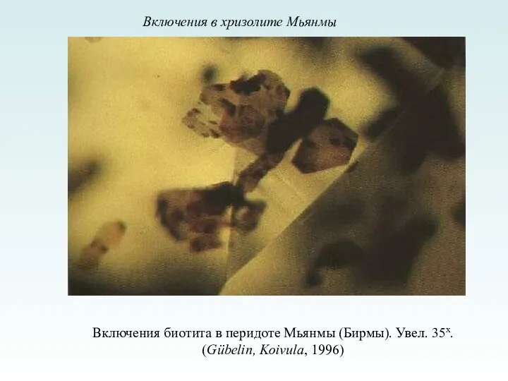 Включения биотита в перидоте Мьянмы (Бирмы). Увел. 35x. (Gübelin, Koivula, 1996) Включения в хризолите Мьянмы