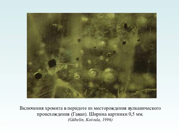 Включения хромита в перидоте из месторождения вулканического происхождения (Гаваи). Ширина картинки 0,5 мм. (Gübelin, Koivula, 1996)