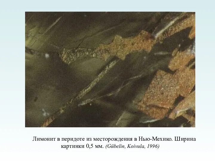Лимонит в перидоте из месторождения в Нью-Мехико. Ширина картинки 0,5 мм. (Gübelin, Koivula, 1996)
