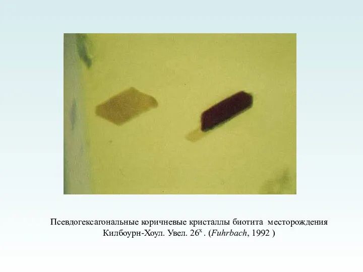 Псевдогексагональные коричневые кристаллы биотита месторождения Килбоурн-Хоул. Увел. 26х . (Fuhrbach, 1992 )