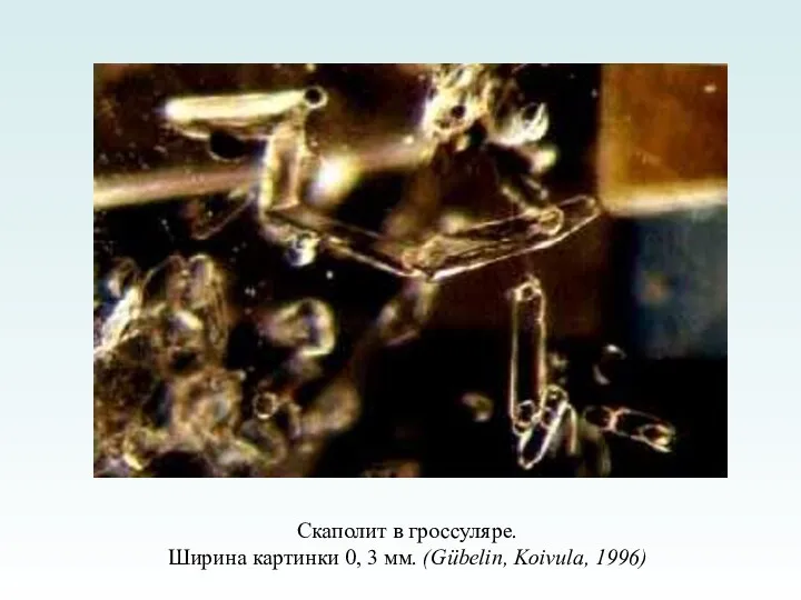 Скаполит в гроссуляре. Ширина картинки 0, 3 мм. (Gübelin, Koivula, 1996)