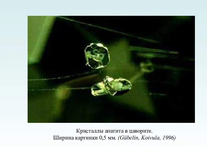 Кристаллы апатита в цаворите. Ширина картинки 0,5 мм. (Gübelin, Koivula, 1996)