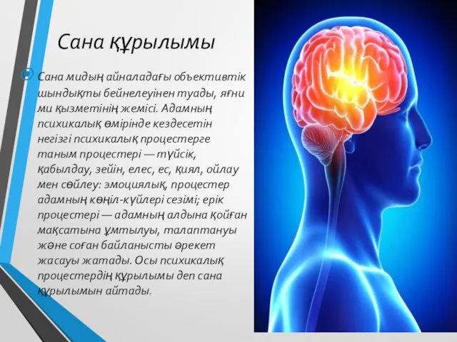 Сана құрылымы Сана мидың айналадағы объективтік шындықты бейнелеуінен туады, яғни