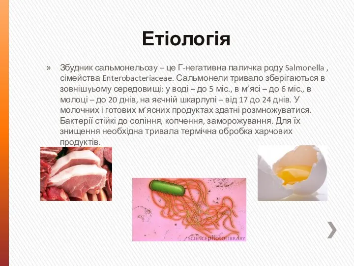 Етіологія Збудник сальмонельозу – це Г-негативна паличка роду Salmonella , сімейства Enterobacteriaceae. Сальмонели