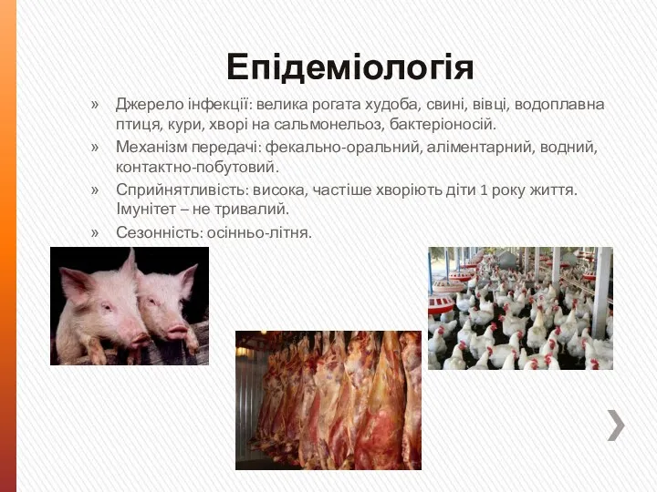 Епідеміологія Джерело інфекції: велика рогата худоба, свині, вівці, водоплавна птиця, кури, хворі на