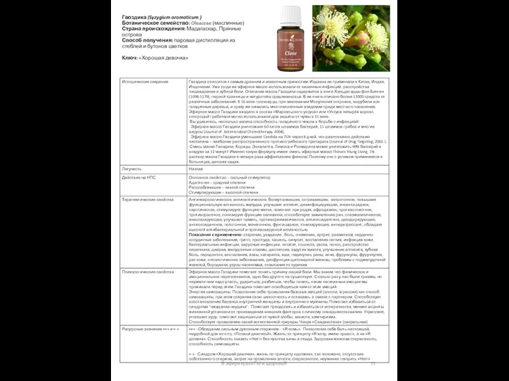 Гвоздика (Syzygium aromaticum ) Ботаническое семейство: Oleaceae (маслинные) Страна происхождения: