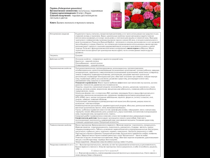 Герань (Pelargonium graveolens) Ботаническое семейство: Geraniaceae, гераниевые Страна происхождения: Египет, Индия Способ получения: