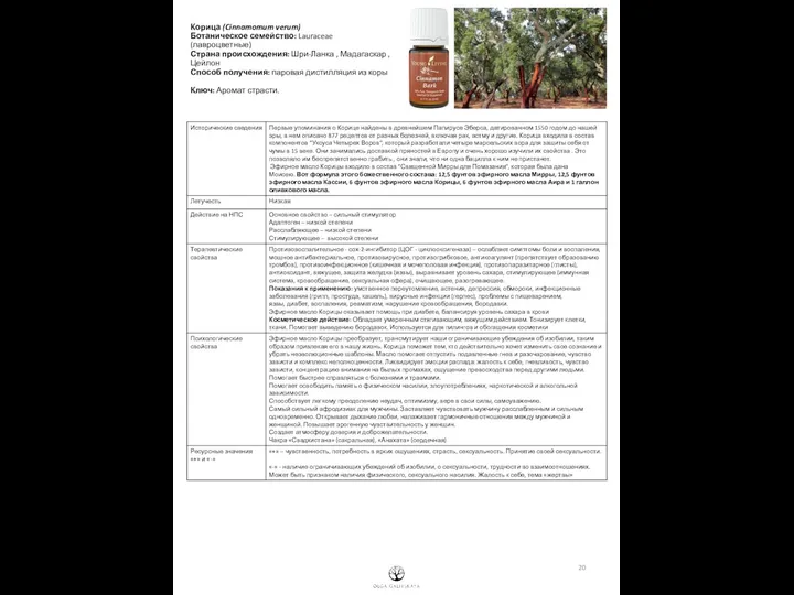 Корица (Cinnamomum verum) Ботаническое семейство: Lauraceae (лавроцветные) Страна происхождения: Шри-Ланка