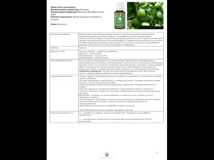 Лайм (Citrus aurantifolia) Ботаническое семейство: Рутовые Страна происхождения: Мексика, Юго-Восточная