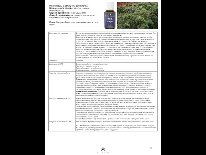 Можжевельник (Juniperus osteosperma) Ботаническое семейство: Cupressaceae (кипарисовые) Страна происхождения: США, Юта Способ получения:
