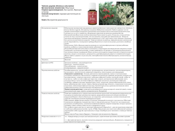 Чайное дерево (Melaleuca alternifolia) Ботаническое семейство: Миртовые Страна происхождения: Австралия, Франция острова Способ