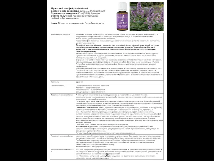 Мускатный шалфей (Salvia sclarea) Ботаническое семейство: Lamiaceae (губоцветные) Страна происхождения: Юта (США), Франция