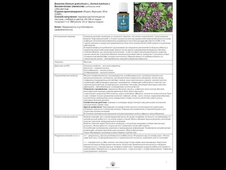 Базилик (Ocimum gratissimum L., Ocimum basilicum.) Ботаническое семейство: Lamiaceae или губоцветные Страна происхождения: